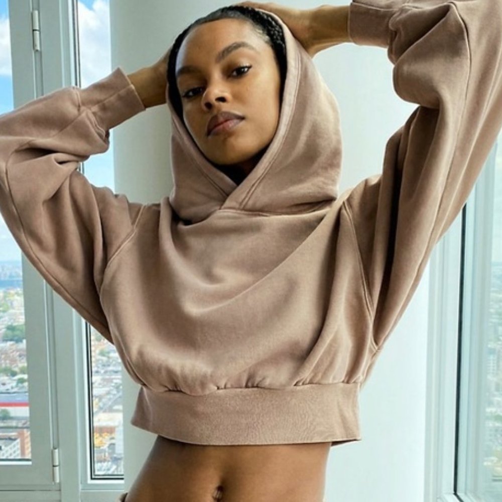 Aritzia Cropped Hoodie in Taupe
